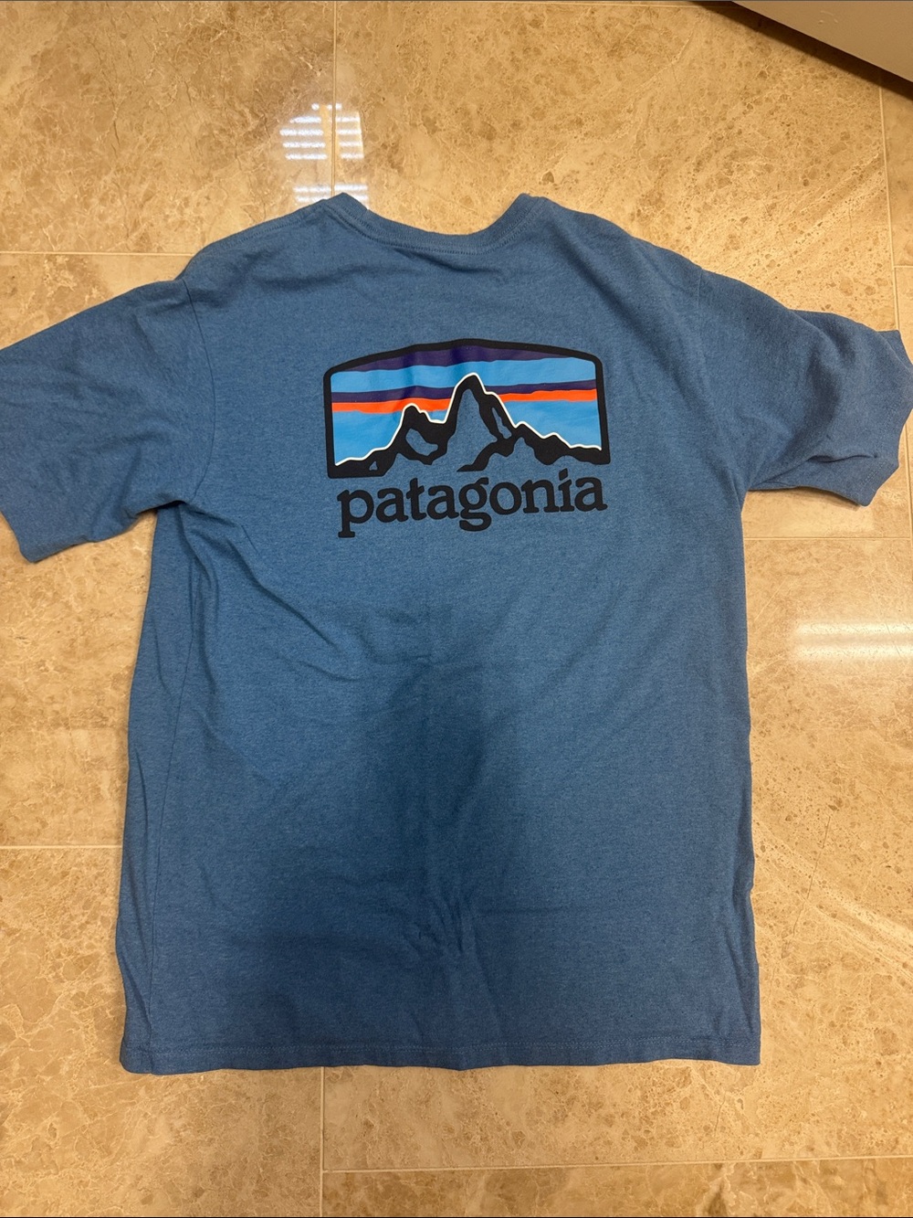 Patagonia Blue Short-Sleeve Logo Tee